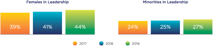 Chart representing females and minorities